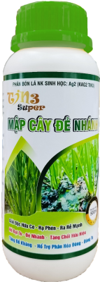 Mập Cây Đẻ Nhánh