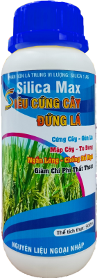 Siêu Cứng Cây Đứng Lá