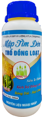 Mập Tim Đèn Trổ Đồng Loạt