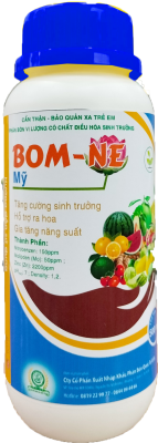 BOM - NE (Mỹ)