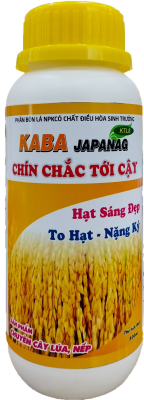 Chín Chắc Tới Cậy ( KaBa Japanag)