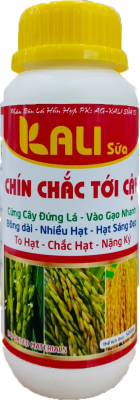 Chín Chắc Tới Cậy (Kali Sữa)