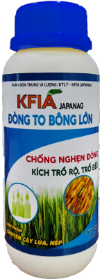 Đòng To Bông Lớn