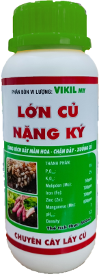 Lớn Củ Nặng Ký