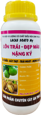 Lớn Trái - Đẹp Màu Nặng Ký