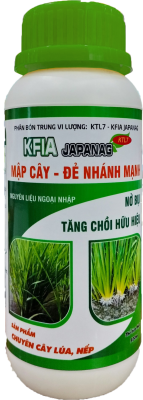 Mập Cây Đẻ Nhánh Mạnh