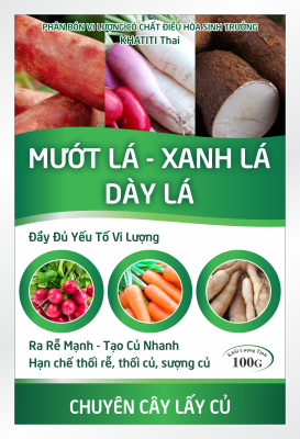 MƯỚT LÁ - XANH LÁ - DÀY LÁ