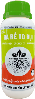 Ra Rễ To Bụi (Lúa, Nếp)