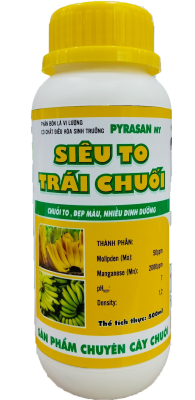 Siêu To Trái Chuối